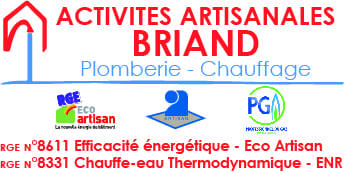 Logo Briand