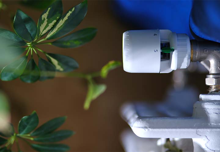 Gros plan radiateur à eau et plante verte